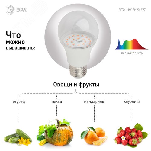 Лампа светодиодная лампа для растений тип А60,11 Вт, 220-240V FITO-11W-Ra90-E27 - фото 2
