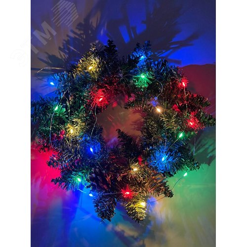 ENIN-2M ЭРА Гирлянда LED Нить 2 м мультиколор, АА, IP20 (120/4800) (Б0041983) 5