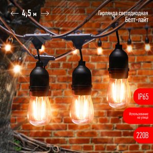 Гирлянда нить Филамент, 4,5 м, длина провода 60 см, 10 LED, теплый белый, E27, каучук, 220В, IP44 ERABL-FIL1 - ЭРА (Энергия света)