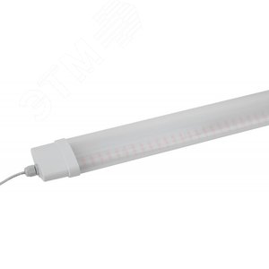 Светильник линейный красно-синего спектра FITO-36W-RB-N (10/240) - ЭРА (Энергия света)