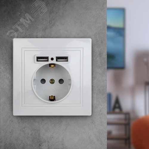 1-410-01 Розетка+USB, IP20, СУ, Plano, белый (10/100/2000) | Б0043247 | Intro - фото 2