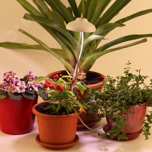 Светильник для цветочных горшков FITO-12W-FLED 10