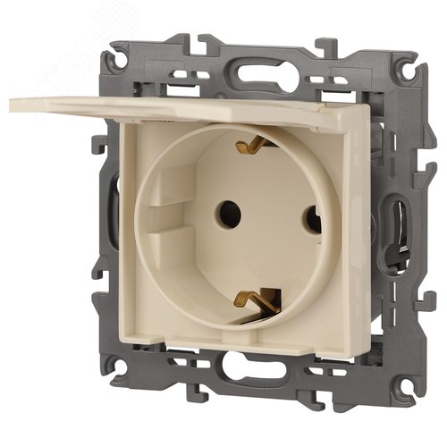 Розетка однофазная скрытого монтажа, в рамку с заземлением со шторками слоновая кость с крышкой 16А 250В IP20 автоматические (безвинтовые) зажимы 14-2103-02 Эра Elegance 4