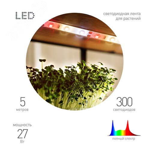 Лента светодиодная для растений полного спектра 5м IP65 с адаптером 12В FITO-Strip Light-Rа90-300LED-5m-12V-IP65 - фото 2