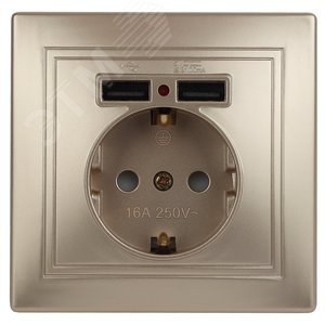1-410-04 Розетка+USB, IP20, СУ, Plano, шампань (10/100/2500) | Б0043250 | Intro - ЭРА (Энергия света)