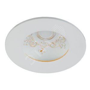 DK LED 11-10 GD Точечные светильники ЭРА светодиодный круглый ‘‘даунлайт с рисунком‘‘ 10W 4000K‘‘