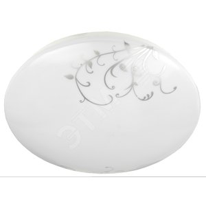 SPB-6 ‘‘Vine‘‘ 10-6,5K Бытовые светодиодные светильники (SPB 6)_48 напр ЭРА Светодиод. св-к 10Вт 6500К 700 Лм  215x80 мм‘‘