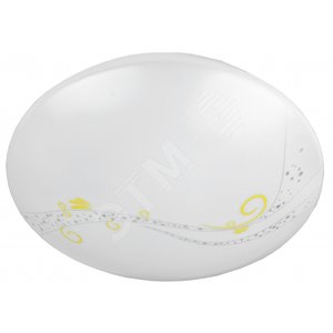 SPB-6 ‘‘Galaxy‘‘ 14-6,5K Бытовые светодиодные светильники (SPB 6)_48 напр ЭРА Светодиод. св-к 14Вт 6500К 980 Лм  260x90 мм‘‘