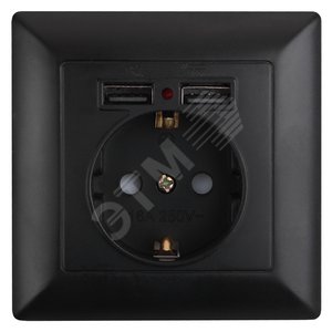 Розетка P+E Schuko со шторками, 16А-250В + 2хUSB, IP20, СУ, Solo, антрацит, 4-410-05 (Б0043407)