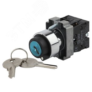 Переключатель LAY5-BG45 на 2 положения с ключом без фиксации (Б0045688) - ЭРА (Энергия света)