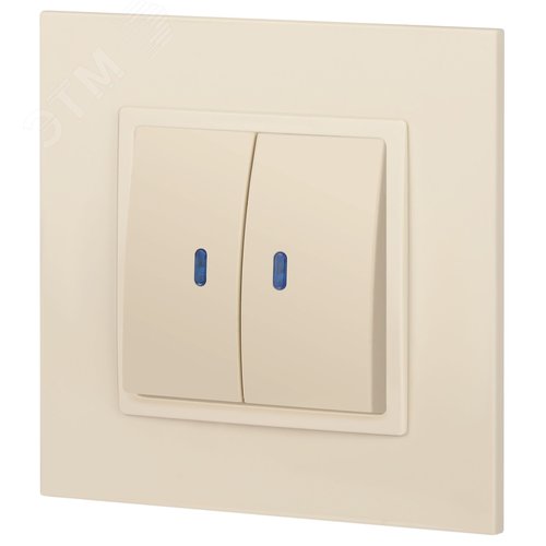 Выключатель двухклавишный, в рамку (скрытого монтажа) с подсветкой слоновая кость 10А 250В автоматические (безвинтовые) зажимы ЭРА Elegance 14-1105-02 5