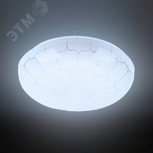 SPB-6 ‘‘Паутина‘‘ 24-6,5K (B) Бытовые светодиодные светильники (SPB 6)_48 напр ЭРА Светодиод. св-к 24Вт 6500K 1850Лм 405x115‘‘ (Б0032147) 5