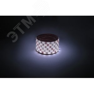 Лента светодиодная 4,8Вт/м 12В 6500К IP65 60LED/м LS2835-60LED-IP65-W-eco-5m 3