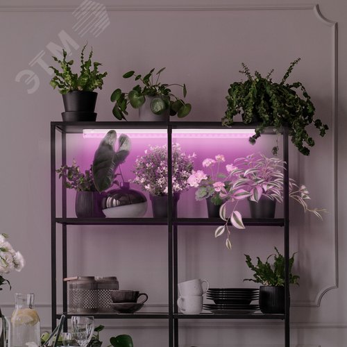 Линейные фитосветильники белый спектр ЭРА LLED-05-T5-FITO-14W-W | Б0028200 | ЭРА - фото 13