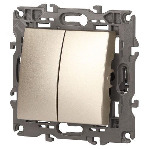 Выключатель двухклавишный, в рамку (скрытого монтажа) шампань 10А 250В автоматические (безвинтовые) зажимы ЭРА Elegance 14-1104-04 4