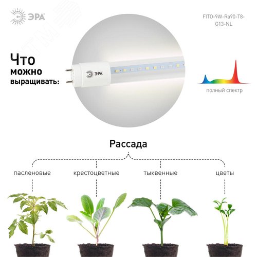 Лампа светодиодная полноспектральная Т8 с красными и белыми светодиодами для профессионального выращивания растений FITO-9W-Ra90-Т8-G13-NL - фото 12