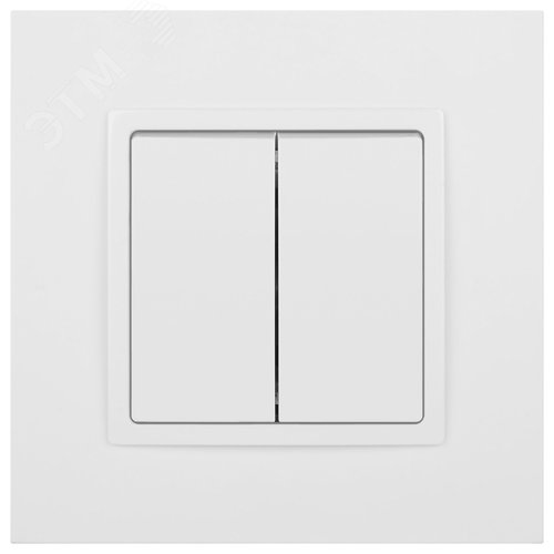 Выключатель двухклавишный, в рамку (скрытого монтажа) белый 10А 250В автоматические (безвинтовые) зажимы ЭРА Elegance 14-1104-01 2