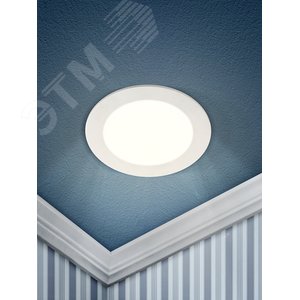 Светильник светодиодный ДВО-18W 4000К 980Лм d 222 мм IP20 круглый 4