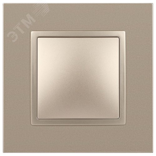 Выключатель одноклавишный, в рамку (скрытого монтажа) шампань 10А 250В автоматические (безвинтовые) зажимы ЭРА Elegance 14-1101-04 2