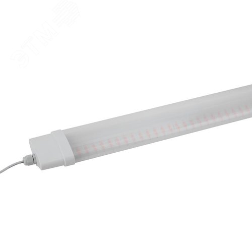 Светильник линейный красно-синего спектра FITO-36W-RB-N (10/240) - фото 2