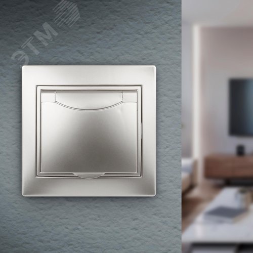 1-203-03 Розетка 2P+E Schuko с крышкой, 16А-250В, IP20, СУ, Plano, алюминий (10/100/1500) | Б0030062 | Intro - фото 4