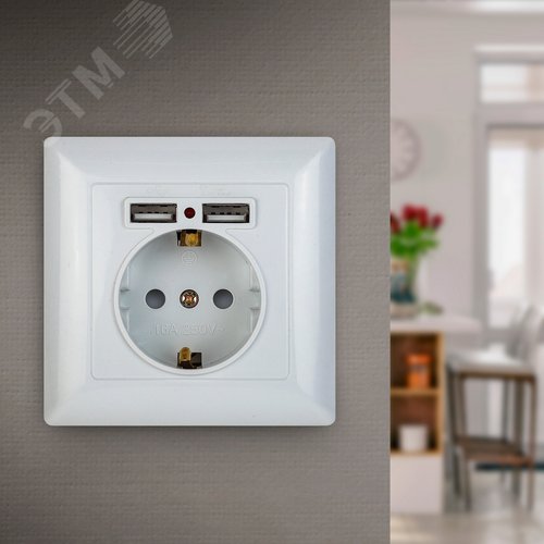 4-410-01 Розетка P+E Schuko со шторками, 16А-250В + 2хUSB, СУ, Solo, белый (10/100/2500) | Б0043403 | Intro - фото 3
