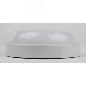 Светильник светодиодный ЖКХ SPB-201-0-40К-012 IP65 12Вт 4000К КРУГ 2