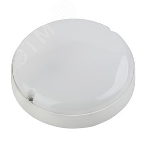 Светильник светодиодный SPB-2-12-65K-R IP65 12Вт 1140лм 175х50 6500К КРУГ shrink (40/480) ЭРА (Б0044077) - ЭРА (Энергия света)
