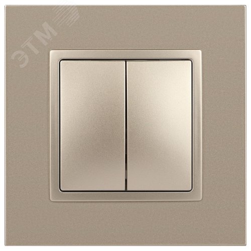 Выключатель двухклавишный, в рамку (скрытого монтажа) шампань 10А 250В автоматические (безвинтовые) зажимы ЭРА Elegance 14-1104-04 2