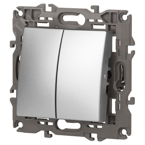 Выключатель двухклавишный, в рамку (скрытого монтажа) алюминий 10А 250В автоматические (безвинтовые) зажимы ЭРА Elegance 14-1104-03 3
