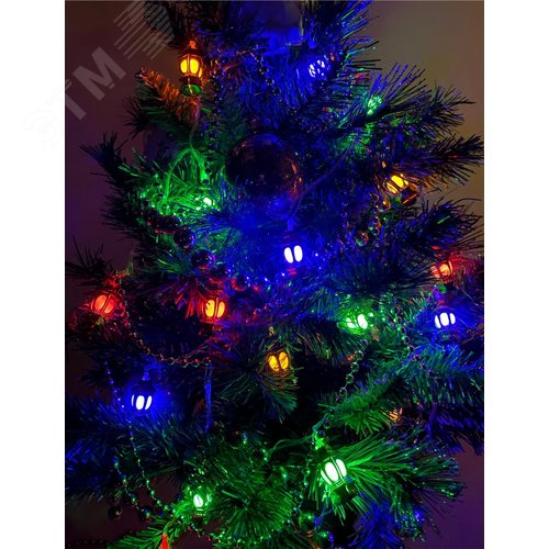 ENIN-3F ЭРА Гирлянда LED Нить Фонарики 3 м мультиколор, 220V, IP20 (36/720) (Б0041897) 5