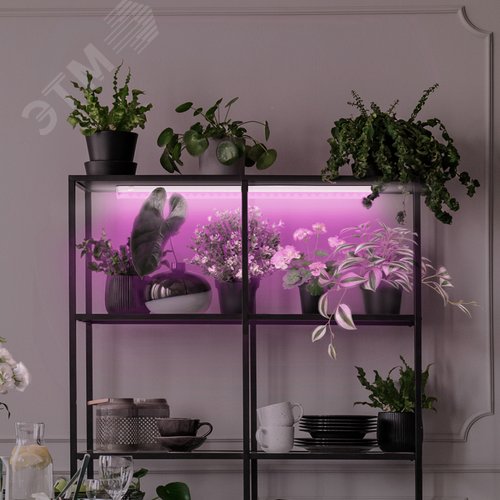 Линейные фитосветильники белый спектр ЭРА LLED-05-T5-FITO-18W-W | Б0028201 | ЭРА 11