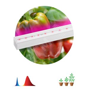 Светильник линейный красно-синего спектра FITO-16W-Т5-N (30/840) - ЭРА (Энергия света)