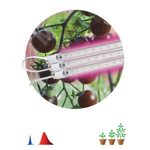 Светильник модульный для растений FITO-3х10W-LINE-RB90 красно-синего спектра 30 Вт - фото 2