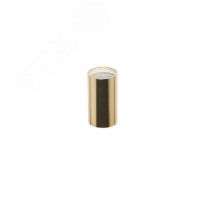 Подсветка декоративная под GU10 OL16 GU10 GD  ЭРА (Б0049047) - ЭРА (Энергия света)
