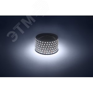 Лента светодиодная 9,6Вт/м 12В 6500К IP20 120LED/м LS2835-120LED-IP20-W-eco-5m - фото 3