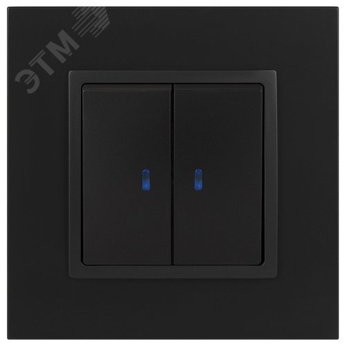 Выключатель двухклавишный, в рамку (скрытого монтажа) с подсветкой антрацит 10А 250В автоматические (безвинтовые) зажимы ЭРА Elegance 14-1105-05 2