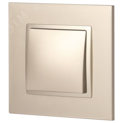 Выключатель одноклавишный, в рамку (скрытого монтажа) шампань 10А 250В автоматические (безвинтовые) зажимы ЭРА Elegance 14-1101-04 4