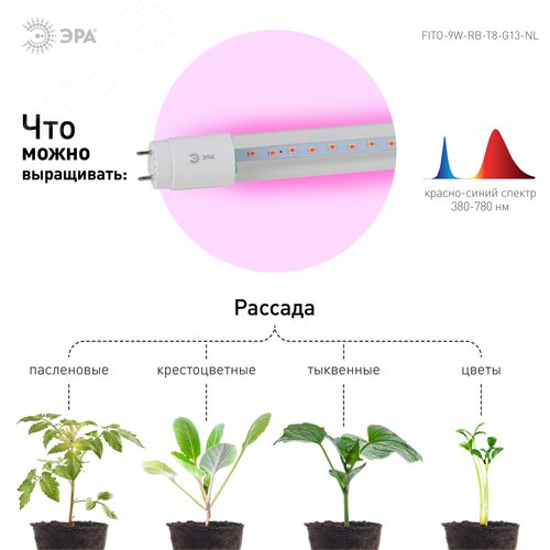 Лампа светодиодная сине-красная Т8 для профессионального выращивания растений FITO-9W-RB-Т8-G13-NL - фото 9