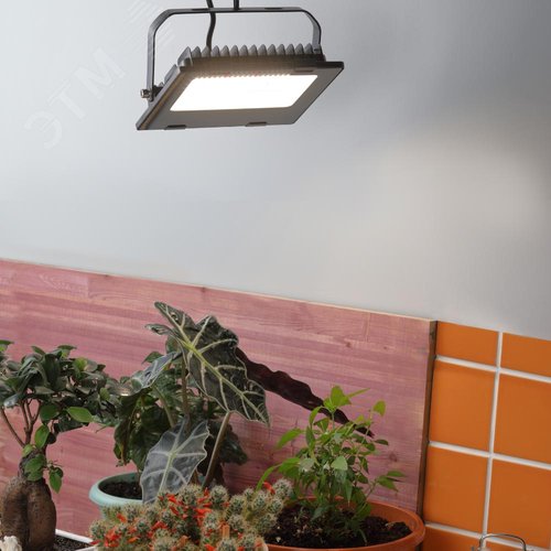 Прожектор светодиодный для цветения и плодоношения FITO-50W-Ra90-LED 10/300 - фото 9