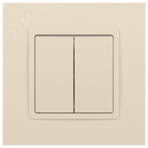Выключатель двухклавишный, в рамку (скрытого монтажа) слоновая кость 10А 250В автоматические (безвинтовые) зажимы ЭРА Elegance 14-1104-02 2