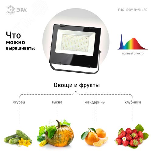 Фитопрожектор для растений светодиодный полного спектра 100 Вт FITO-100W-Ra90-LED для цветения и плодоношения - фото 11