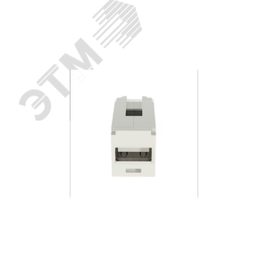 Модуль CMUSBAAIW Модуль Mini-Com с разъемом USB 2.0 Female A/Female A, бел (CMUSBAAIW) - Panduit