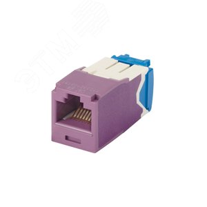 Модуль CJ6X88TGVL  Mini-Com RJ45 TX6A 10Gig, UTP T568A/B (фиолетовый) (CJ6X88TGVL) - Panduit