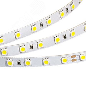 Лента RT 2-5000 36V Cool 2x (5060, 300 LED, LUX) (Arlight, Открытый) - Arlight