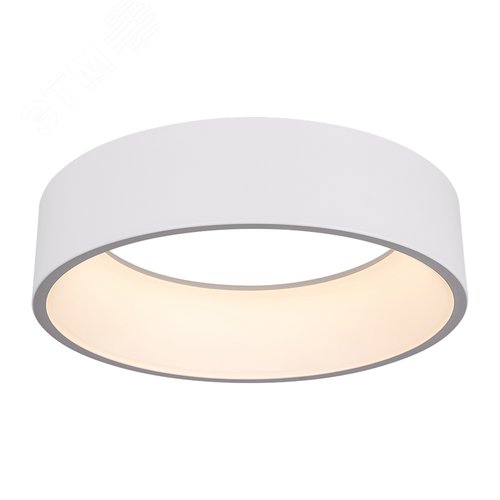 Светильник SP-TOR-RING-HANG-R460-33W Day4000 (WH, 120 deg) (ARL, IP20 Металл, 3 года) - фото 2