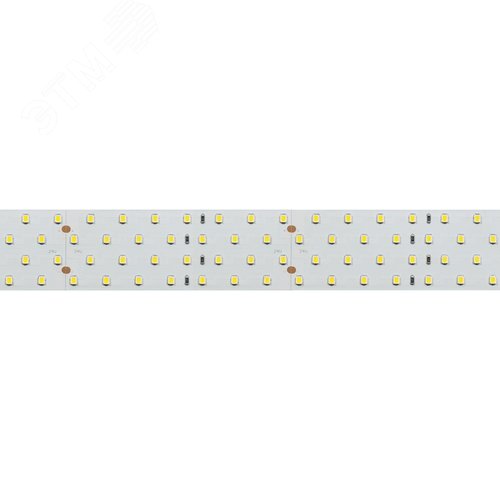 Лента RT 2-2500 24V Day4000 4x2 (2835, 700 LED, LUX) (019085(B))