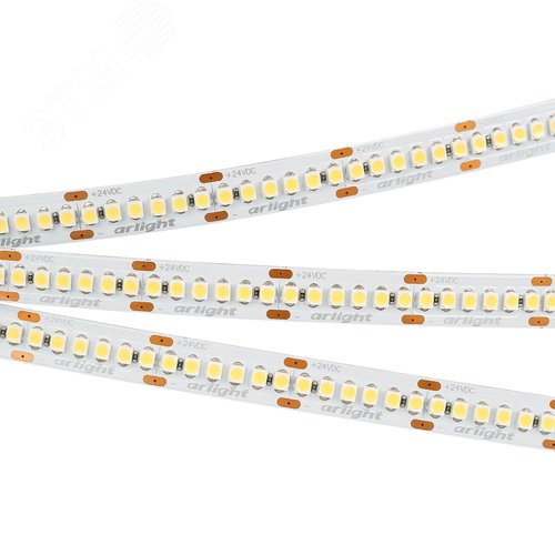 Лента LED RT6-3528-240 24V Cool 8K 4x (1200 LED) (ARL, 19.2 Вт/м, IP20) (018728)