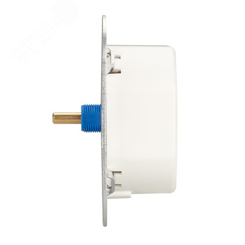 Заглушка для PDS-F с отверстием (ARL, Пластик) 8