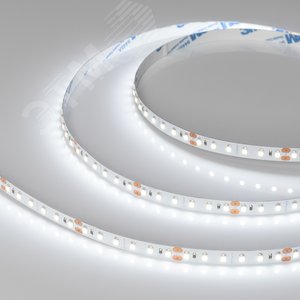 Лента NT-A120-8mm 24V White6000 (9.6 W/m, IP20, 3528, 5m) (Arlight, Открытый) (033525) - Arlight